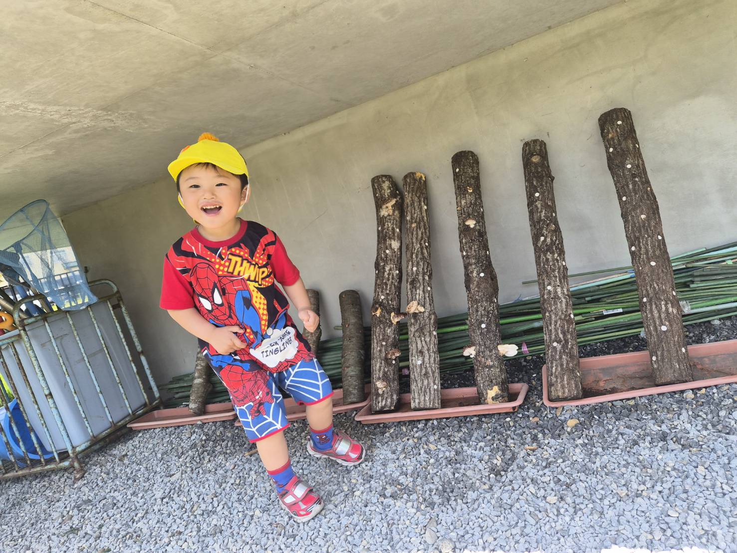 原木しいたけの成長を喜ぶ子ども
